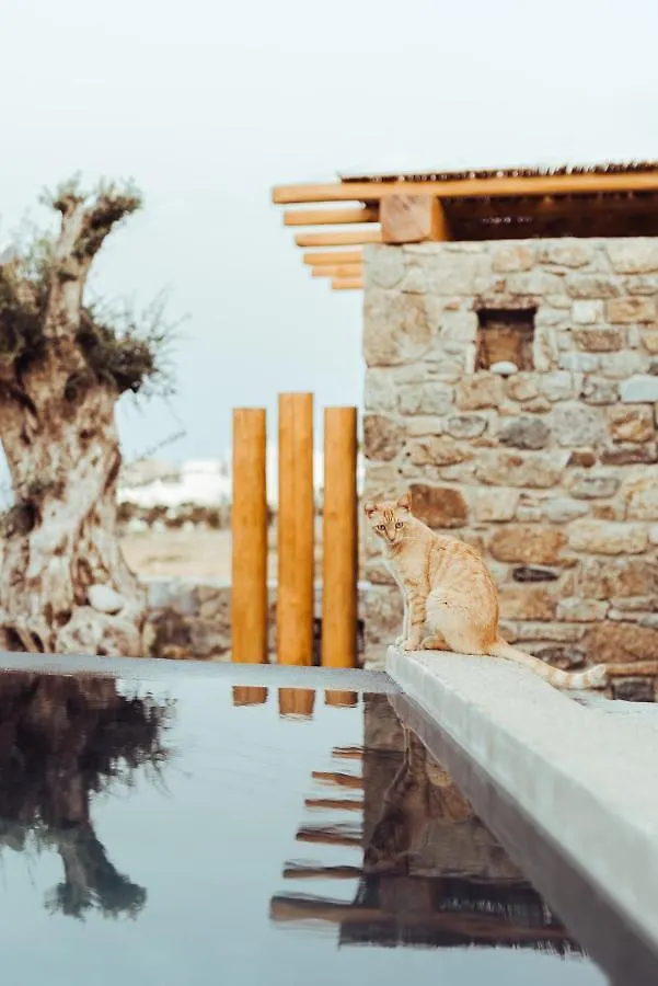 M-Vibes Mykonos Suites カラファティス ギリシャ